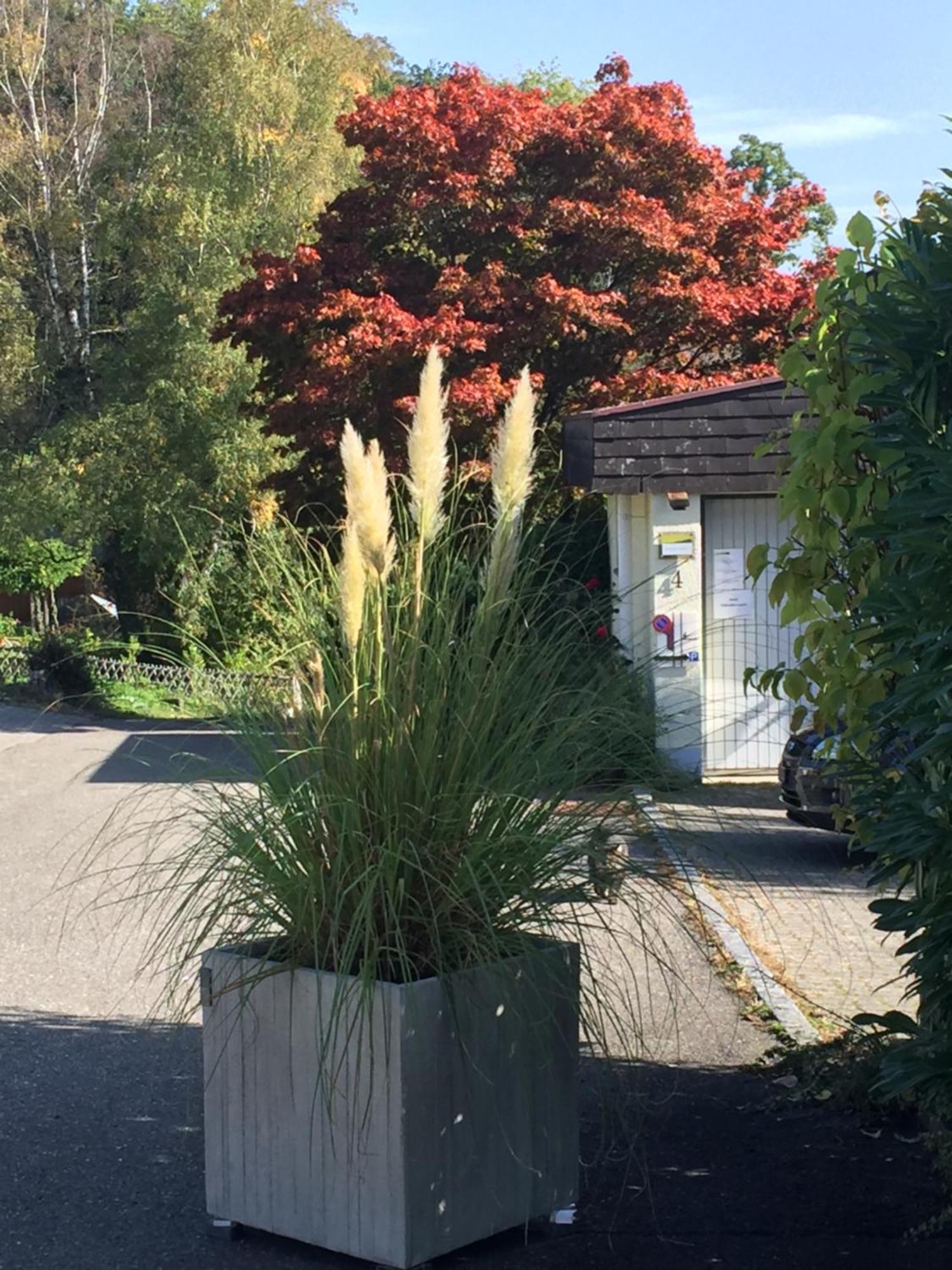 Joline Private Guest Apartment Just Feel At Home Jens エクステリア 写真