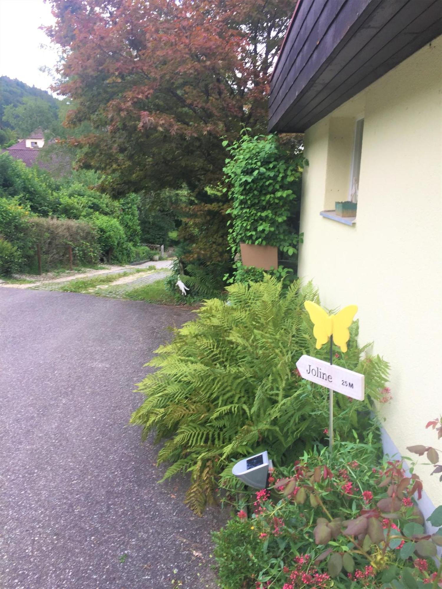 Joline Private Guest Apartment Just Feel At Home Jens エクステリア 写真
